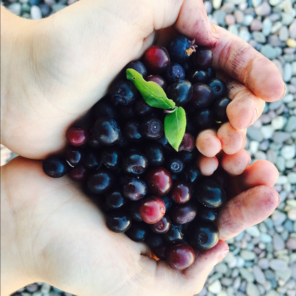 Meet your Posher, Lyndsey